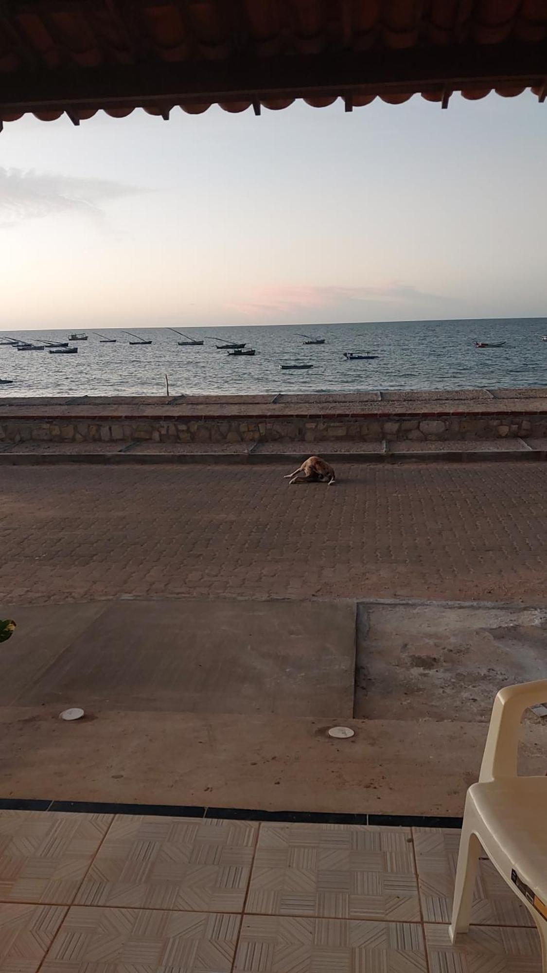 Chales Canto Do Mar Редонда Екстер'єр фото